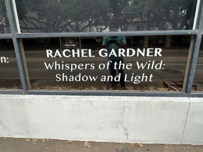 Window Graphics Photo